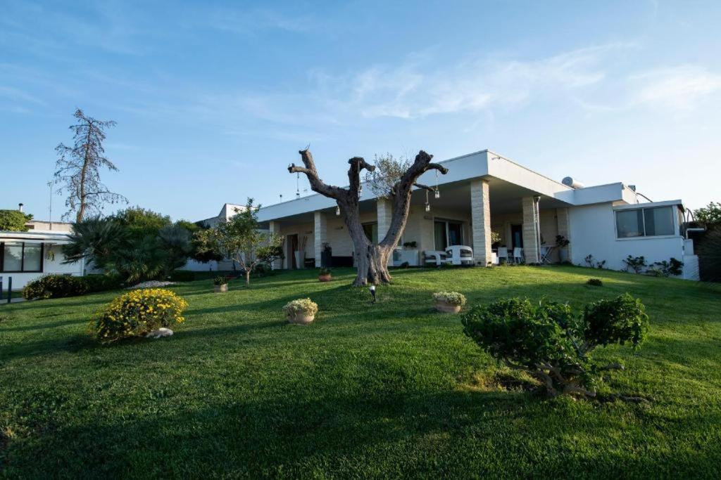Villa Dalesco Leverano Exteriér fotografie