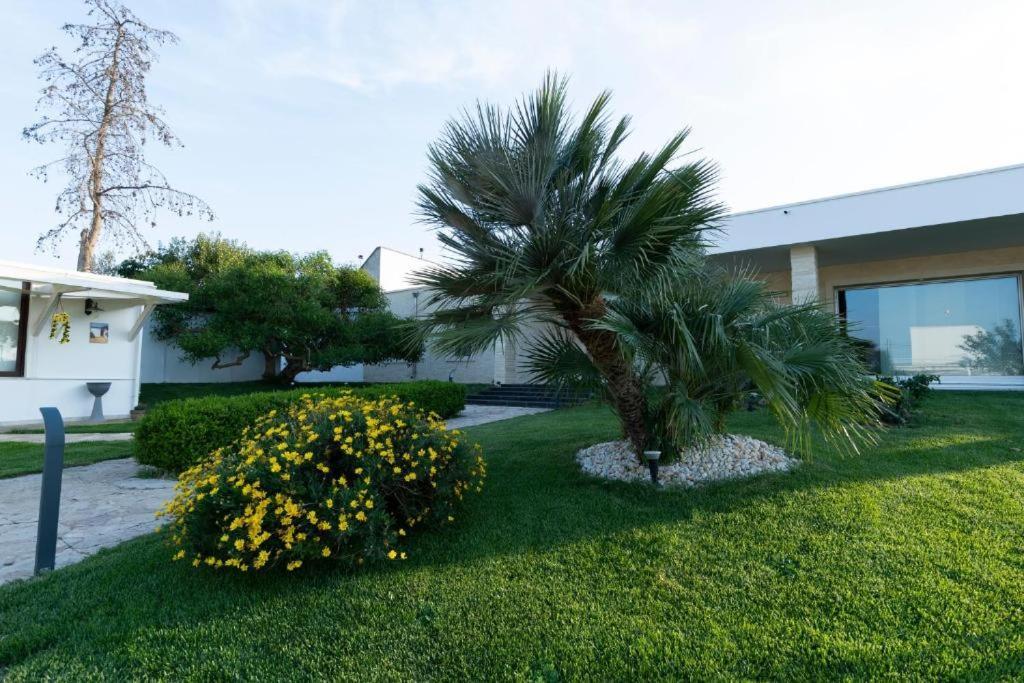 Villa Dalesco Leverano Exteriér fotografie